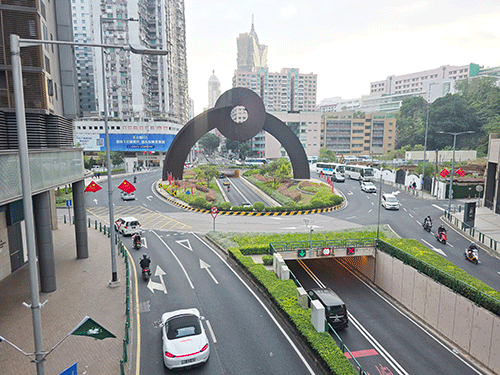 羅理基博士大馬路 258宗最多